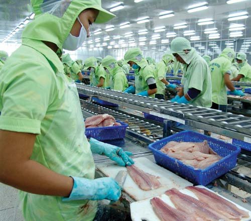 Le pangasius vietnamien cherche à accélérer sa dynamique de croissance vers la Malaisie